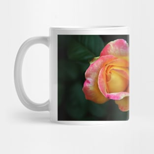 Blooming Rose Mug